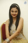Pragathi Photos - 62 of 62