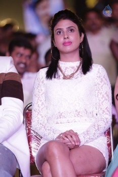 Pragya at Vangaveeti Audio Launch - 31 of 32