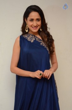 Pragya Jaiswal New Photos - 19 of 41