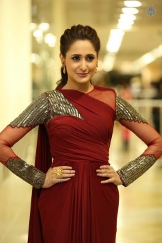 Pragya Jaiswal New Stills - 8 of 20