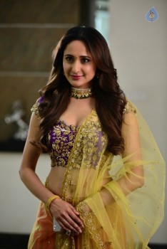 Pragya Jaiswal Photos in Gunturodu - 5 of 6