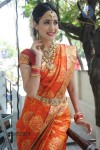 Pragya Jaiswal Stills - 52 of 82