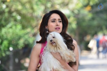 Pragya Jaiswal Stills in Gunturodu Movie - 19 of 21