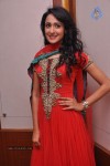 Pragya New Stills - 16 of 45