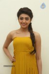 Praneetha New Photos - 65 of 65