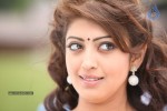 Praneetha Stills - 8 of 23