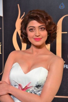 Pranitha at IIFA 2017 - 3 of 37