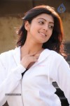 Pranitha Latest Gallery - 5 of 31