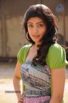 Pranitha Latest Gallery - 9 of 31