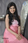 Pranitha Latest Stills - 42 of 51