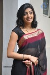 Pranitha New Gallery - 20 of 104