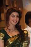 Pranitha New Photos - 6 of 40