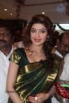 Pranitha New Photos - 18 of 40