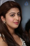 Pranitha New Pics - 87 of 92