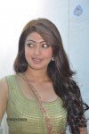 Pranitha Photos - 4 of 81