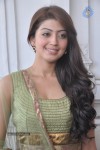 Pranitha Photos - 12 of 81