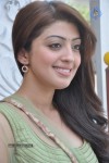 Pranitha Photos - 17 of 81