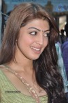 Pranitha Photos - 56 of 81