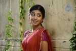 Pranitha Stills - 2 of 57