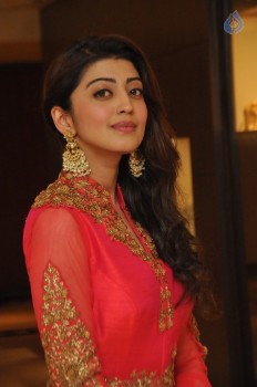 Pranitha Subhash New Photos - 5 of 58