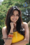 Priya Anand Photo Stills - 65 of 64