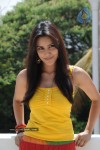 Priya Anand Photo Stills - 67 of 64