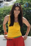 Priya Anand Photo Stills - 68 of 64