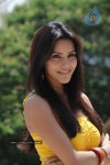 Priya Anand Photo Stills - 69 of 64