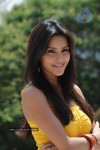 Priya Anand Photo Stills - 6 of 64