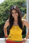 Priya Anand Photo Stills - 75 of 64