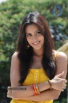 Priya Anand Photo Stills - 13 of 64