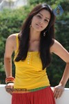 Priya Anand Photo Stills - 80 of 64