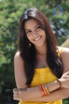 Priya Anand Photo Stills - 19 of 64