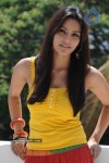 Priya Anand Photo Stills - 47 of 64