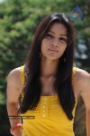 Priya Anand Photo Stills - 48 of 64