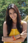 Priya Anand Photo Stills - 51 of 64