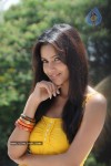 Priya Anand Photo Stills - 56 of 64