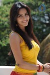Priya Anand Photo Stills - 57 of 64