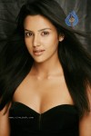 Priya Anand Spicy Gallery  - 9 of 18