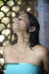 Priyamani Hot Stills In Pravarakyudu Movie  - 26 of 148