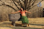 Priyamani Hot Stills In Pravarakyudu Movie  - 53 of 148