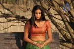 Priyamani Hot Stills In Pravarakyudu Movie  - 75 of 148