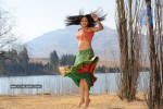 Priyamani Hot Stills In Pravarakyudu Movie  - 84 of 148