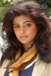 Priyamani New Stills - 62 of 57