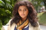 Priyamani New Stills - 29 of 57