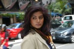 Priyamani New Stills - 33 of 57