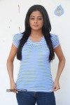 Priyamani Photo Gallery - 64 of 68