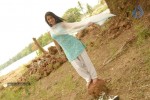 Rachana Malhotra Gallery - 77 of 79