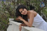 Rachana Shah Photo Shoot Stills - 47 of 49