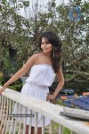 Rachana Shah Photo Shoot Stills - 59 of 49